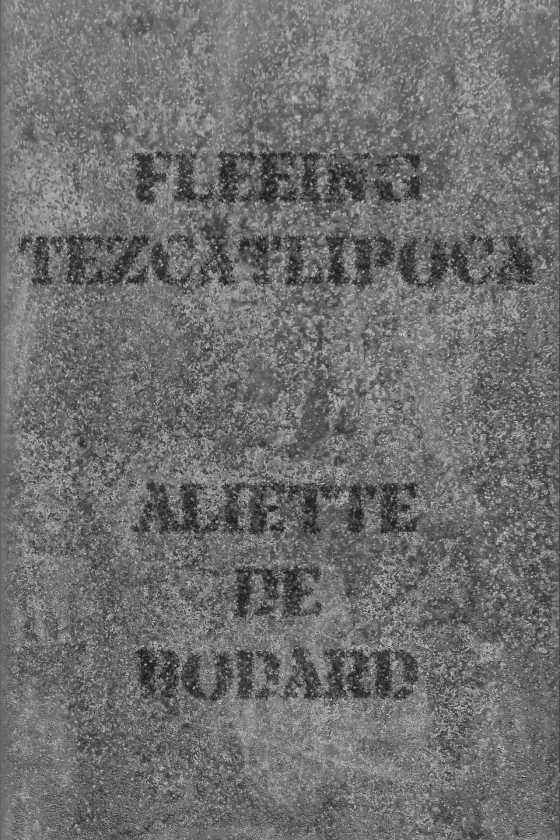Fleeing Tezcatlipoca -- Aliette de Bodard