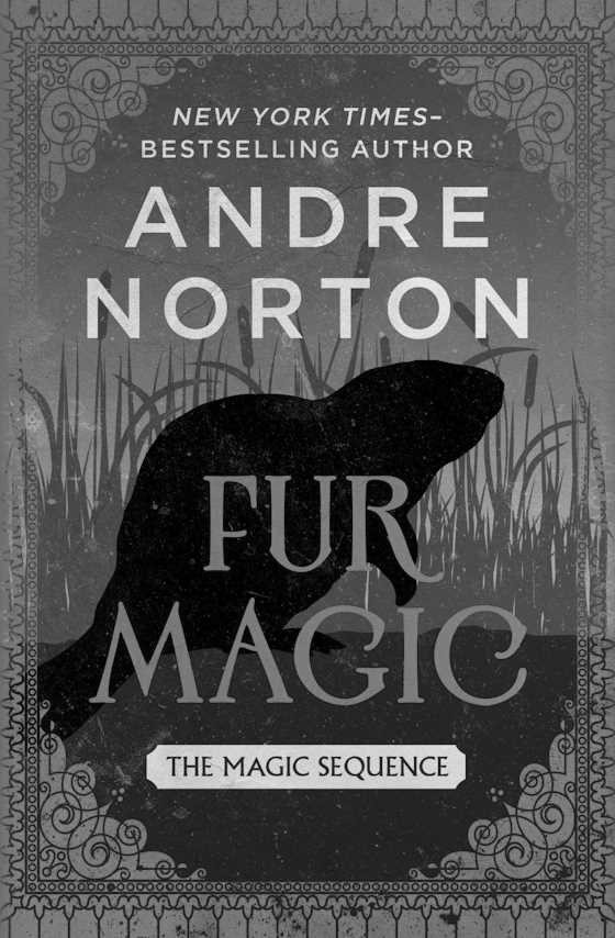 Fur Magic -- Andre Norton