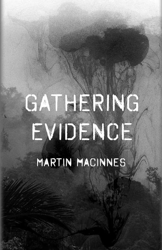 Gathering Evidence -- Martin MacInnes