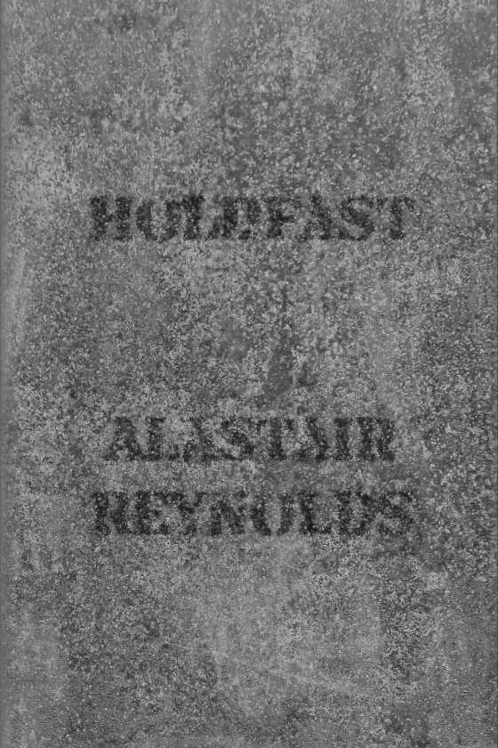 Holdfast -- Alastair Reynolds