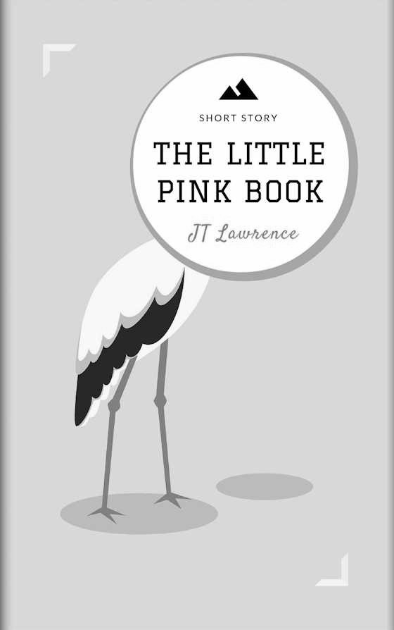 The Little Pink Book -- JT Lawrence