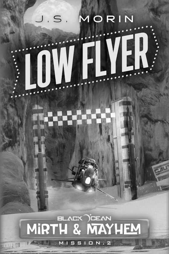 Low Flyer -- J.S. Morin