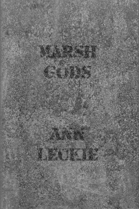 Marsh Gods -- Ann Leckie