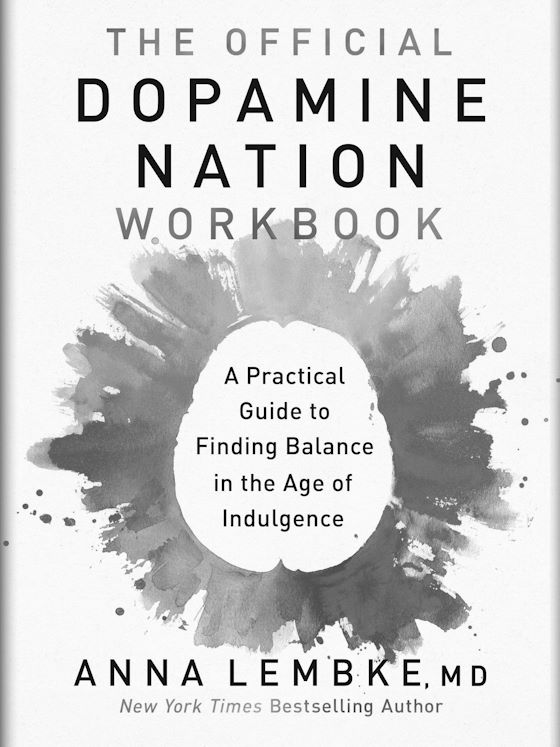 The Official Dopamine Nation Workbook -- Anna Lembke