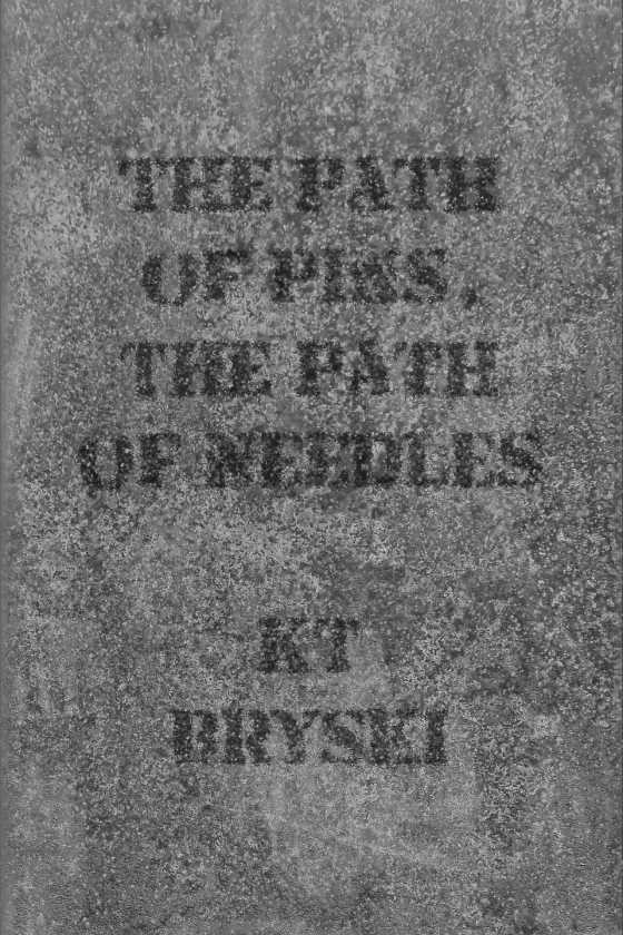 The Path of Pins, the Path of Needles -- KT Bryski