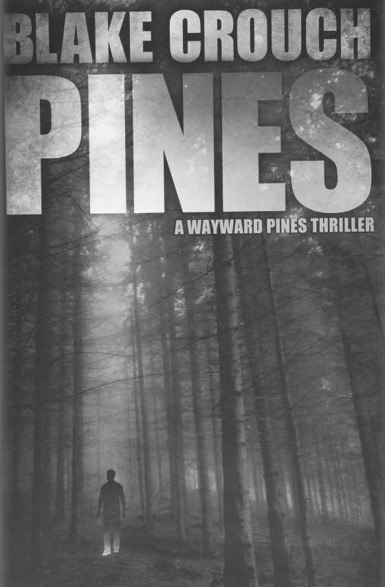 Pines -- Blake Crouch